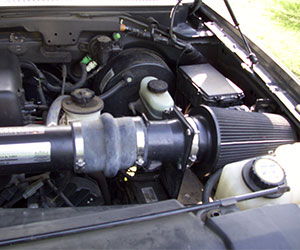 Cold air intake, 4.6L Ford F-150