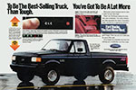 Ford F-150 Nite brochure